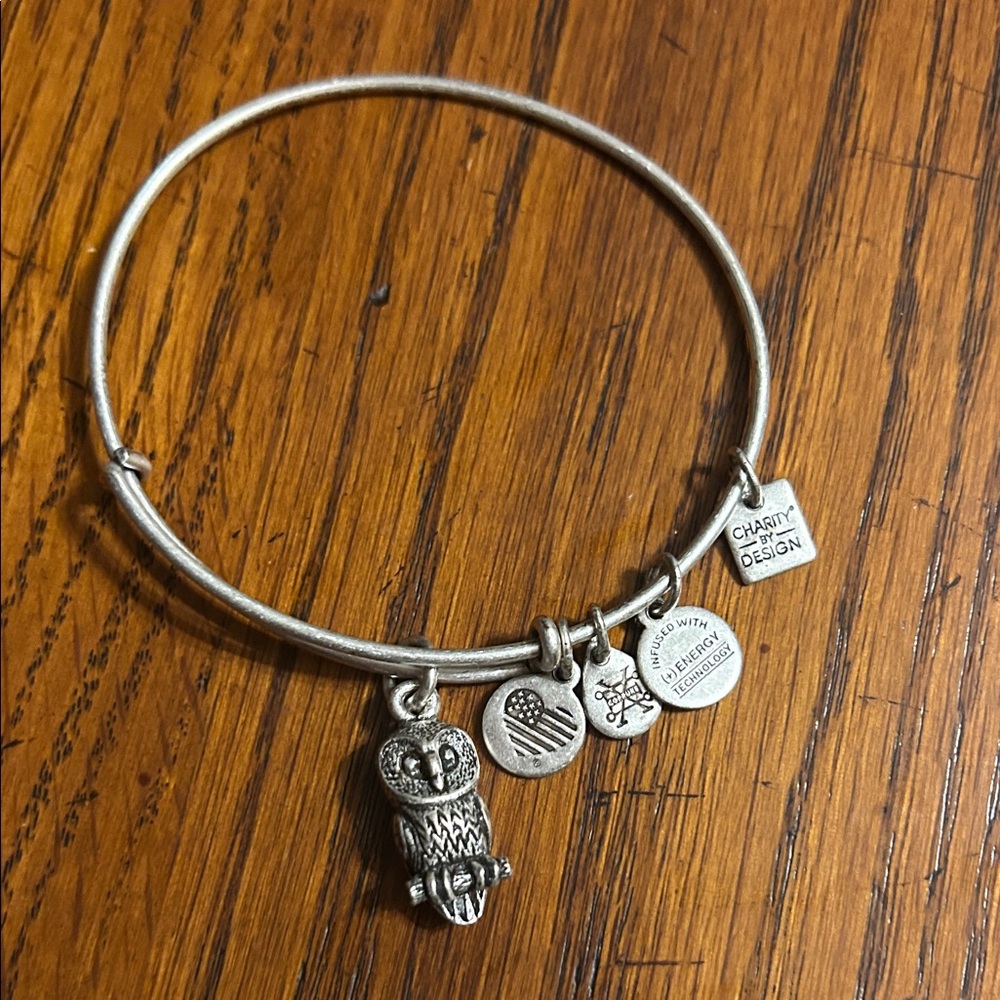 Alex and Ani Silver Owl Charm Bangle Bracelet